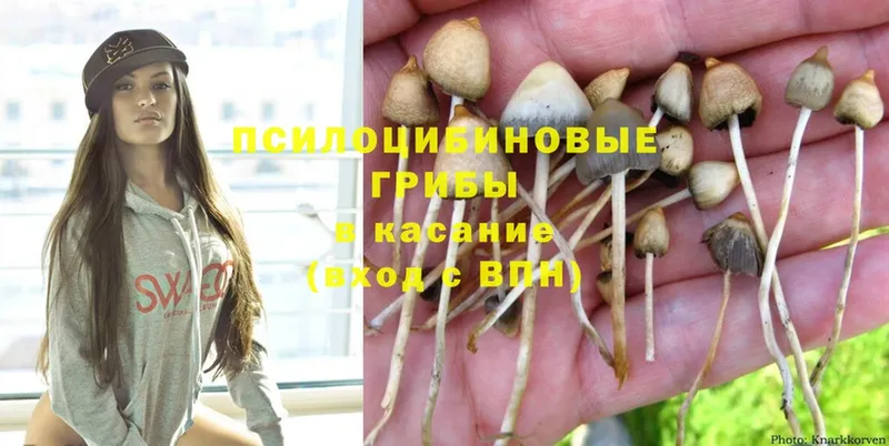 ссылка на мегу как зайти  маркетплейс клад  Галлюциногенные грибы MAGIC MUSHROOMS  Алдан 